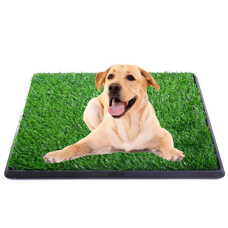Tucker Murphy Pet™ Hot Sale Artificial Dog Grass Mat, Indoor Potty